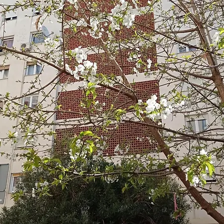 App Letta Sunset Pula Apartment Exterior photo