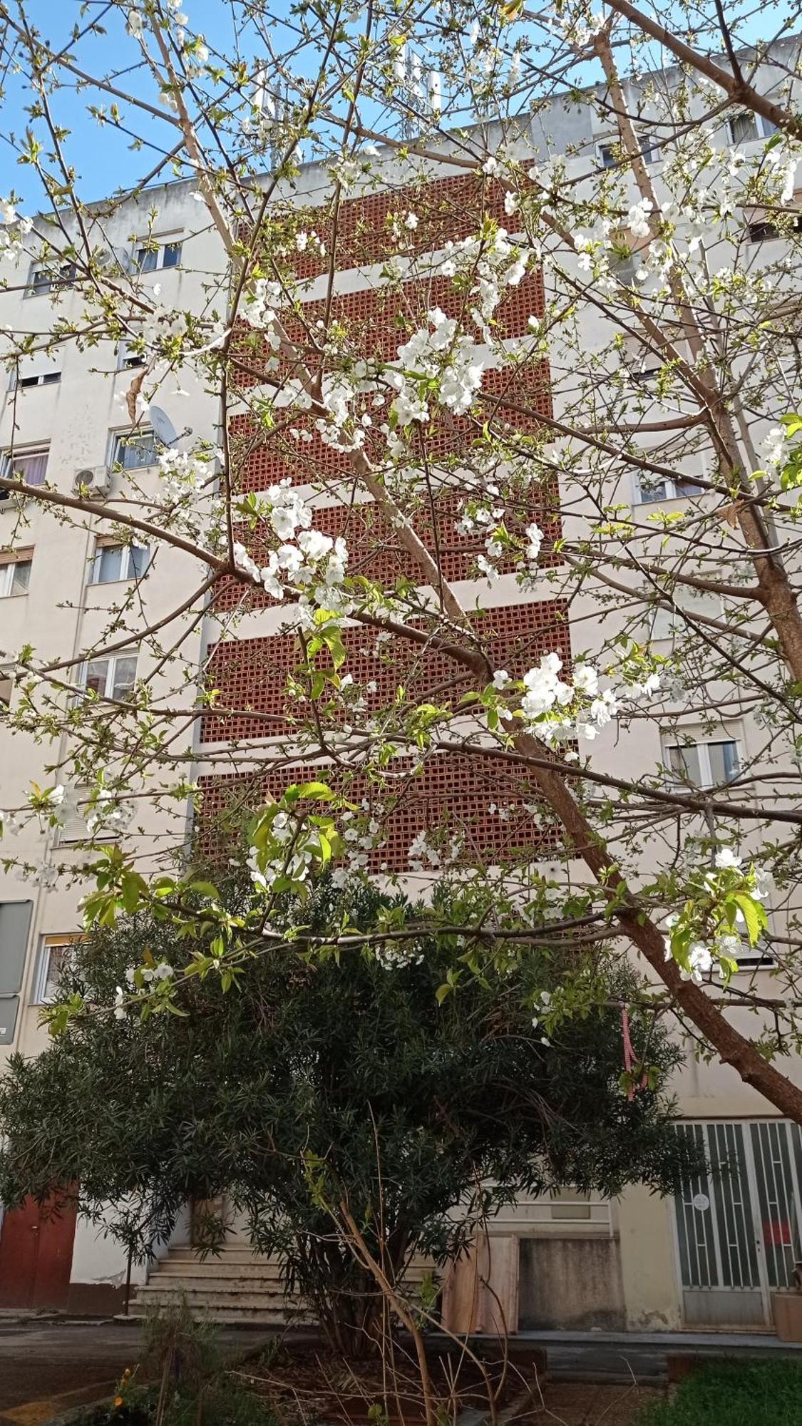 App Letta Sunset Apartment Pula